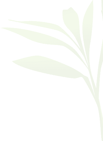blog-leaf