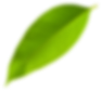 leaf-obj1